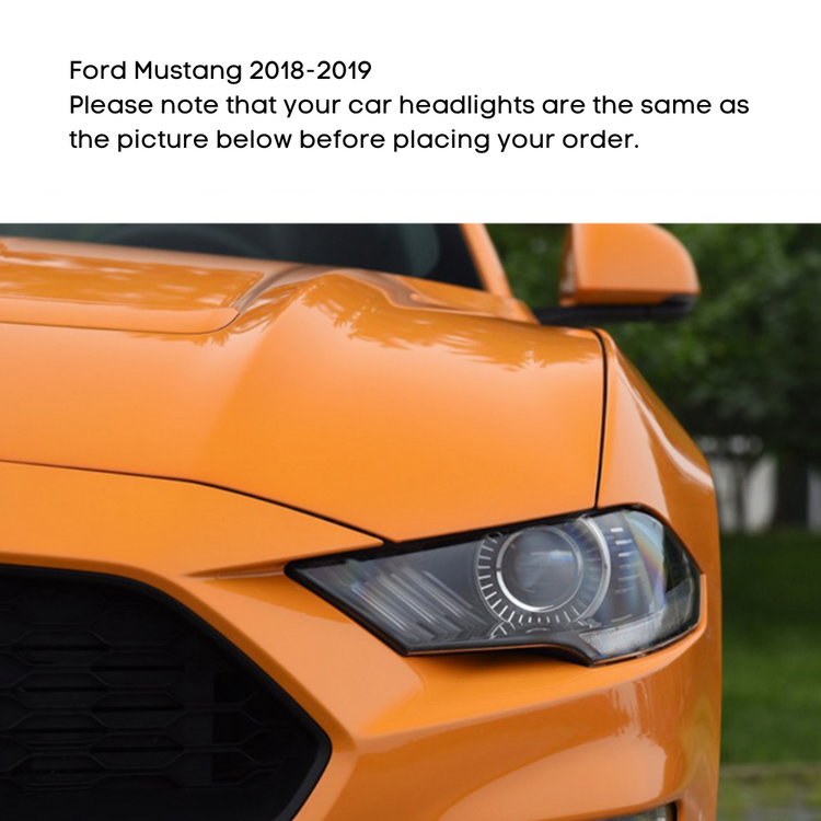 LED DRL Boards & Demon Eyes for Ford Mustang (2018-2019)